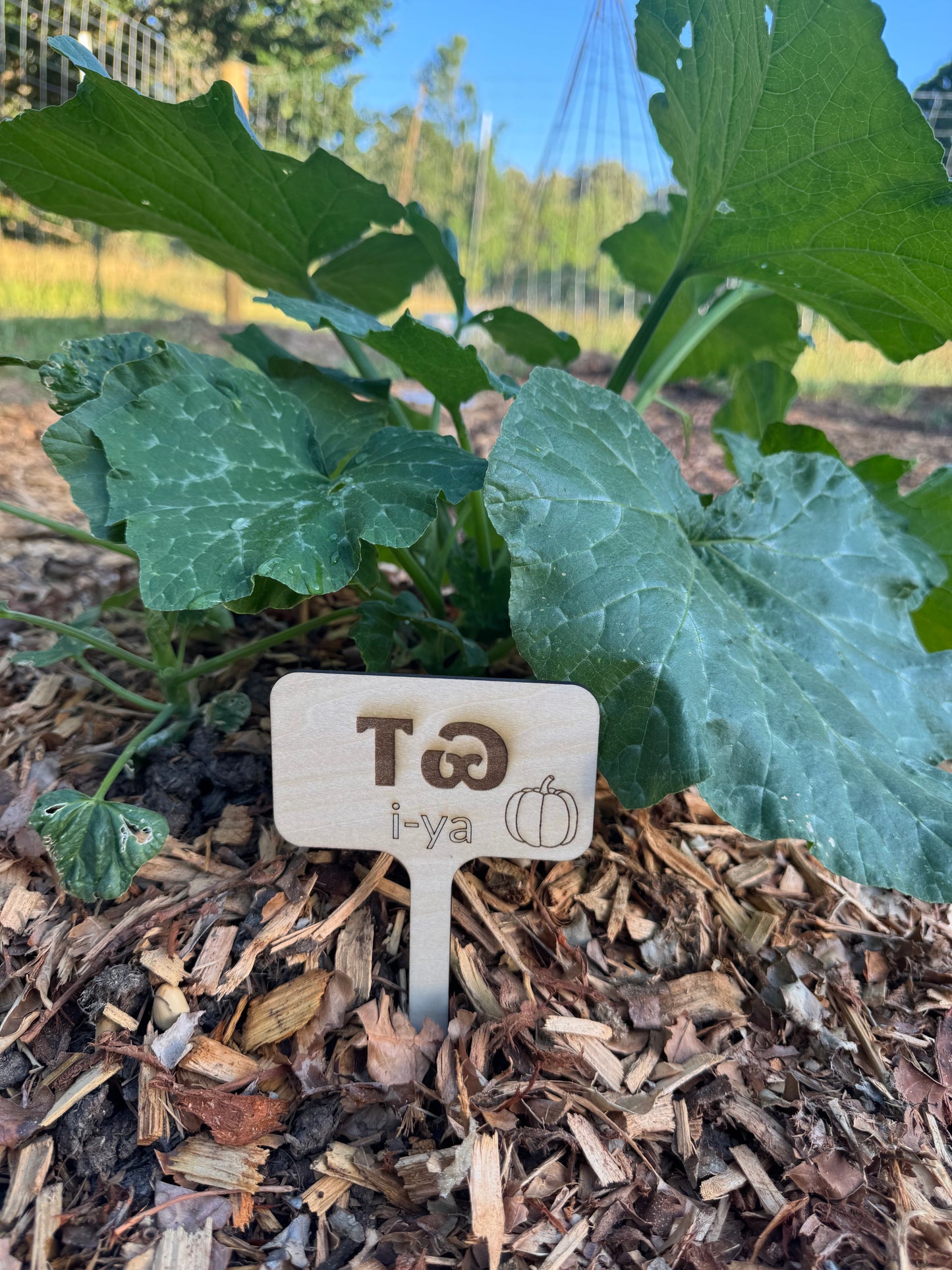 Three Sisters Garden Markers Pack